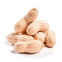 Whispeara L-Arginine